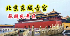 屄屄流水视频福利中国北京-东城古宫旅游风景区
